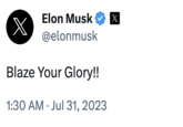 X Elon Musk X @elonmusk Blaze Your Glory!! 1:30 AM Jul 31, 2023 1× .