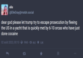 elle @ElleGray@mstdn.social dear god please let trump try to escape prosecution by fleeing the US in a yacht that is quickly met by 6-10 orcas who have just done cocaine 02 août 2023, 00:10 - Web · 862 · † 1,8K