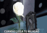 CUANDO LLEGA TU MILAGRO