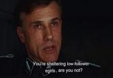 You're sheltering low-follower egirls, are you not?