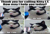 Thank you for calling Kitty I.T. How may I help you today? CARCADELIAN Right... Ah.I see. Uh-huh... Have you tried pushing it off the counter?