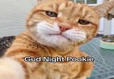 Gud Night Pookie