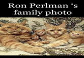 Ron Perlman 's family photo