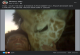 Giraffe Skweezy Jibbs July 10, 2011 F--- HOMEY WE DOIN SHROOMS IN THA DESERT AN A TALKIN DINOSER COW CAME UP 2 ME AN WE FRIENDS NOW WAT IT DOOOO 20K 7.8K comments 39K shares