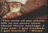 "The sum of my whole life is no more than these three sayings: I was raw. I got cooked. I got burned." ~Rumi