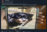 pocket @islandthembo Damn we see them husbear hunter @theeboyardee. Mar 22 Haven't stopped thinking about friend's dog's uncle for 2 weeks 3:47 AM. Mar 22, 2023 · 489.5K Views 792 Reposts 8 Quotes 12.8K Likes 83 Bookmarks :