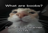I'm A Visual Learner BTW What are boobs? I'm a visual learner BTW