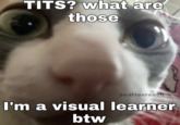 I'm A Visual Learner BTW T---? what are those @cattosreach I'm a visual learner btw