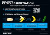 BRYAN JOHNSON'S PENIS REJUVENATION HERE'S HOW YOU CAN IMPLEMENT IT AT HOME: 1. NOCTURNAL ERECTIONS: QR CODE TO SIGN UP FOR MONITORING DEVICE 2. ERECTION HARDNESS SCORE 1 TOFU PENIS IS LARGE BUT NOT HARD SEVERE ERECTILE DYSFUNCTION BLUEPRINT 2 PEELED BANANA PENIS IS HARD BUT NOT HARD ENOUGH FOR PENETRATION MODERATE ERECTILE DYSFUNCTION 3 UNPEELED BANANA PENIS IS HARD ENOUGH FOR PENETRATION BUT NOT COMPLETELY HARD SUBOPTIMAL ERECTION 4 CUCUMBER PENIS IS HARD AND COMPLETELY RIGID OPTIMAL ERECTION blueprint.bryanjohnson.co