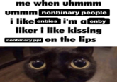 me when uhmmm ummm nonbinary people i like enbies i'm a enby liker i like kissing nonbinary ppl on the lips