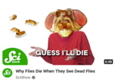 <iframe width="516" height="315" src="https://www.youtube.com/embed/fVt6zO0zfss" title="Why Flies Die When They See Dead Flies" frameborder="0" allow="accelerometer; autoplay; clipboard-write; encrypted-media; gyroscope; picture-in-picture; web-share" allowfullscreen></iframe>