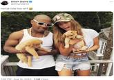 Dillon Danis @dillondanis not ja rule too w-- 7:36 PM - Aug 14, 2023 7.5M Views ***