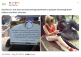 @lattefan Gorillas at the zoo are becoming addicted to people showing them videos on their phones For the wellbeing of gorilla troop, refrain from showing them any vi or photos as some content can upsetting and affect their relations and behaviour within their famil Thank you for your cooperation toronto ZOO 12:09 PM . Aug 17, 2023 2.1M Views ...