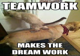 TEAMWORK MAKES THE DREAM WORK quickmeme.com