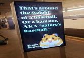 That's around the weight of a baseball. Or a hamster. AKA "nature's baseball." Back Market 2 AVE
