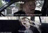 L Me Why can't you just be normal? made with mematic My phones autocratic *Screams*