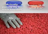Anyone else have this problem | /r/memes Actually putting my life back together Me W Saying "It is what it is"