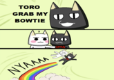 TORO GRAB MY BOWTIE NYAAAA