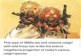 This type of 1980s sex and violence catgirl with wild frizzy hair is like the extinct megafauna progenitor of today's various catgirl species