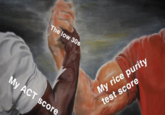 The low 30s My ACT score My rice purity test score