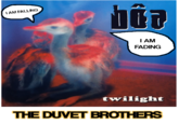 I AM FALLING bûa I AM FADING melodyburst twilight THE DUVET BROTHERS