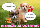 Im CheeseBurger. Cola and im Large Soda. THE AMERICAN FAST FOOD BROTHERS