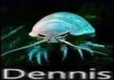 Dennis