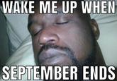 WAKE ME UP WHEN SEPTEMBER ENDS