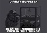 JIMMY BUFFETT? 子大熱 IS MITCH MCCONNELL EVEN IN THIS THING?
