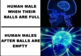HUMAN MALE WHEN THEIR BALLS ARE FULL HUMAN MALES AFTER BALLS ARE EMPTY