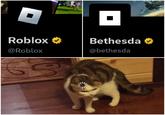 Roblox @Roblox 69 Bethesda @bethesda 。 15