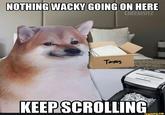 NOTHING WACKY GOING ON HERE CHEEMSITZ Taxes SPY 68090040 KEEP SCROLLING ifunny.co