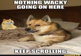 NOTHING WACKY GOING ON HERE @cheemsitz KEEP SCROLLING ifunny.co