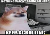 NOTHING WACKY GOING ON HERE KEEP SCROLLING A ifunny.co