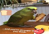 Toast parrot here to remind you that you matter... ...and you're stronger than you think.