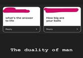 what's the answer to life Reply > How big are your balls Reply The duality of man