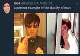 rosa @DAEGUSAURUS. 1d a perfect example of the duality of man