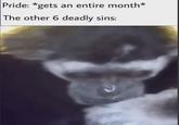 It's outrageous, it's unfair. | /r/memes Pride: *gets an entire month* The other 6 deadly sins: