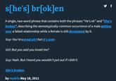 s[he's] br[ok]en A single, two-word phrase that contains both the phrases "He's ok" and "She's broken", describing the stereotypically-common occurrence of a male getting over a failed relationship while a female is still devastated by it. Guy: You're a great girl but it's over. Girl: But you said you loved me? Guy: Yeah. But I heard you wouldn't put out if I didn't. She's broken. y f by mydria May 18, 2011