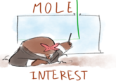 MOLE INTEREST