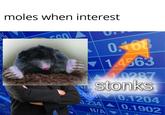 moles when interest 0213 DIT GO 666 0.468 1.4563 1.0287 stonks 404 0.234 N/A 0.1204 0.1902