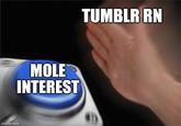 TUMBLR RN MOLE INTEREST imgflip.com