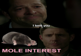 I love you MOLE INTEREST