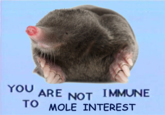 YOU ARE NOT IMMUNE TO MOLE INTEREST