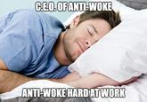 imgflip.com C.E.O.OF ANTI-WOKE ANTI-WOKE HARD AT WORK