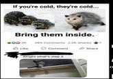 If you're cold, they're cold... Bring them inside. DO 3K Like 394 Comments 2.2K Shares Comment Alright what's step 2 Share | D