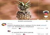 ㅊ 8,049 comments 444.2K ur good this time gang 3d Reply Pixels hasn't loaded but i swear if it's that smurf cat or strawberry elephant 3d Reply 7400 X 1659