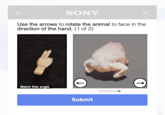 SONY x Use the arrows to rotate the animal to face in the direction of the hand. (1 of 2) Match this angle Submit OOOOO ↑