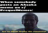 When somebody posts an Ahsoka meme on r/ PrequelMemes: Are we blind? Deploy the copypasta!
