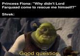 Princess Fiona: "Why didn't Lord Farquaad come to rescue me himself?" Shrek: Good question.